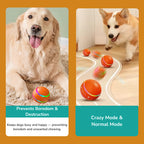 Viral EverRoll™ Dog Ball