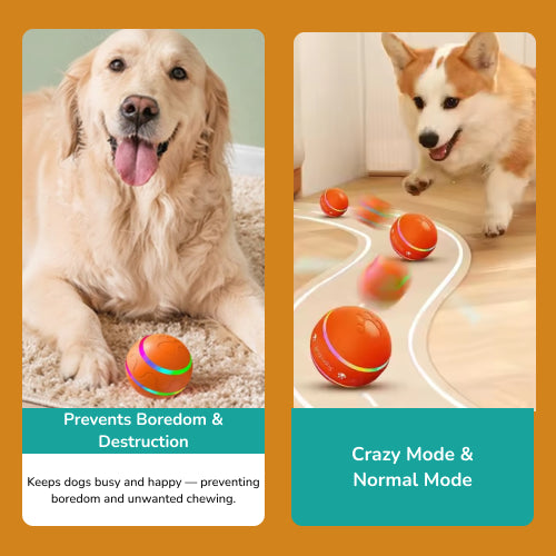 Viral EverRoll™ Dog Ball