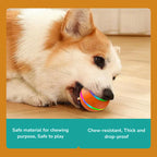 Viral EverRoll™ Dog Ball