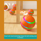 Viral EverRoll™ Dog Ball